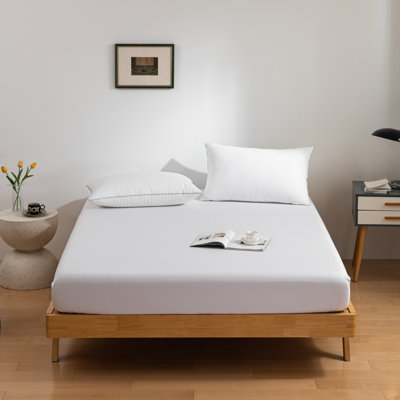 Fitted Sheet