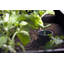 Dolans Planter Box