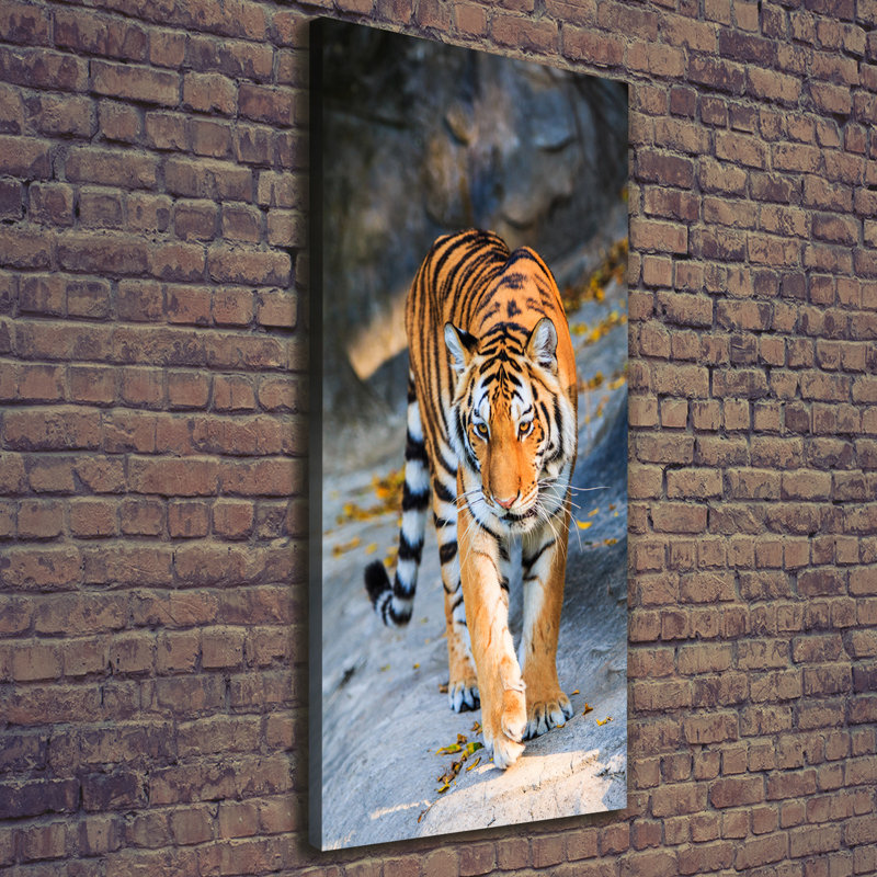 Tiger - Wrapped Canvas Print