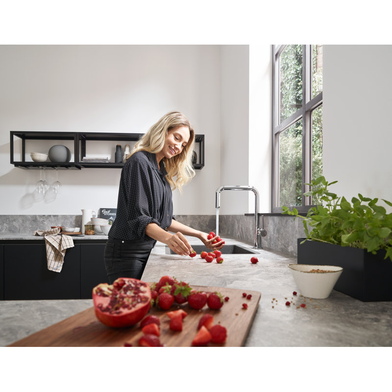 Robinet de cuisine hansgrohe Talis N, 1 jet en U, 1,75 gal / min, Chrome