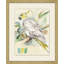 Lewin's Parrots 1 Painting