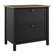 Shelonda 31'' Wide 2 - Drawer File Cabinet