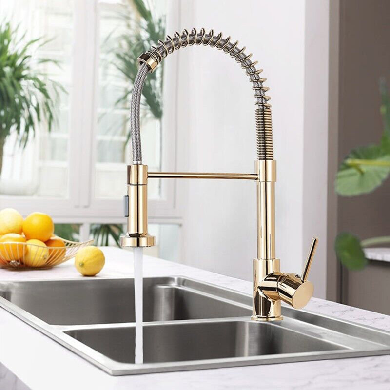 Belfry Kitchen Wall Pull Down Kitchen Faucet, Gold