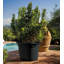 Shippenville Pot Planter-1095485909-1095485910
