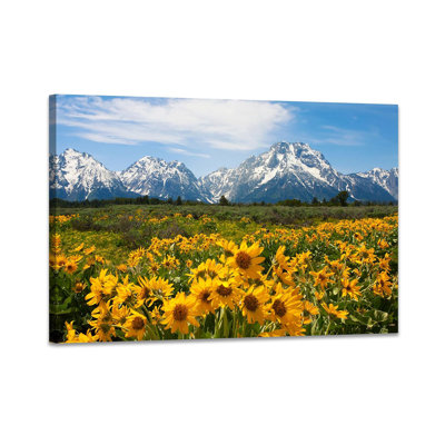 Wrapped Canvas Print