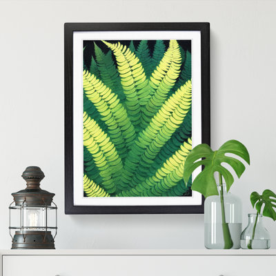 Fern Leaf Layers Vol.5 - Framed Print