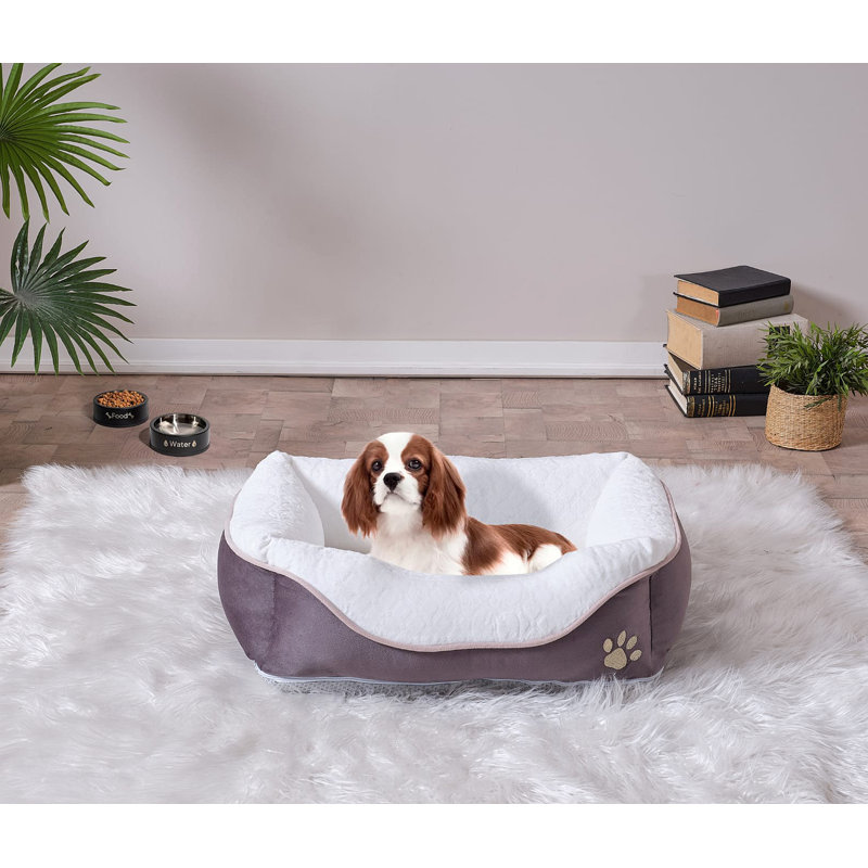 Lit pour animaux Lina, petit lit anthracite, 19 po x 13 po Lina