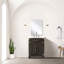 Bathroom Vanity with Top