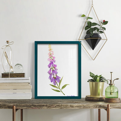 Annie's Foxglove II