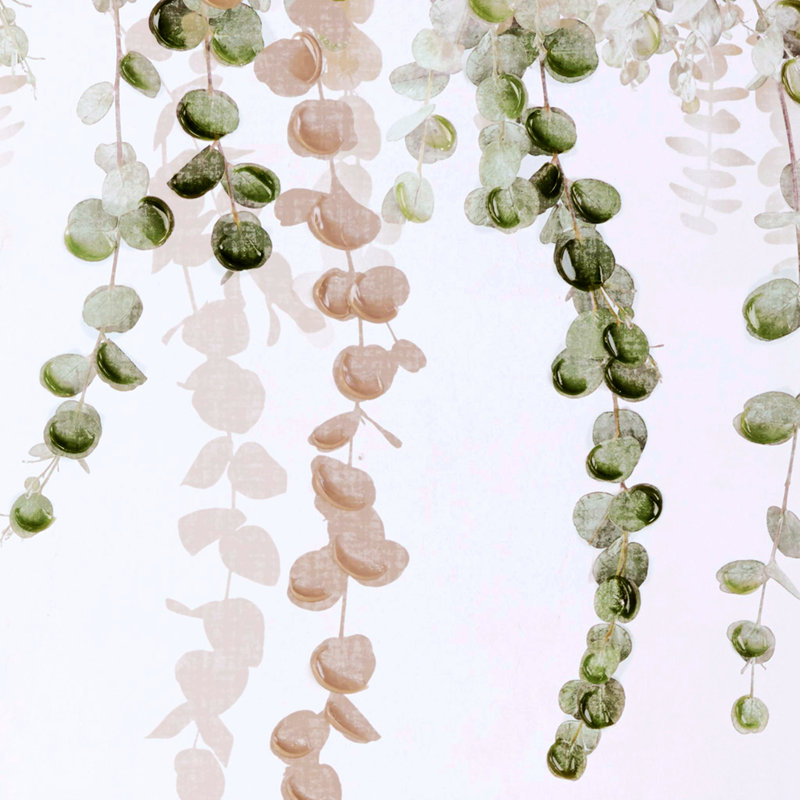 " Eucalyptus " 2 - Pieces