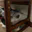 Photos des clients 4 de 4
