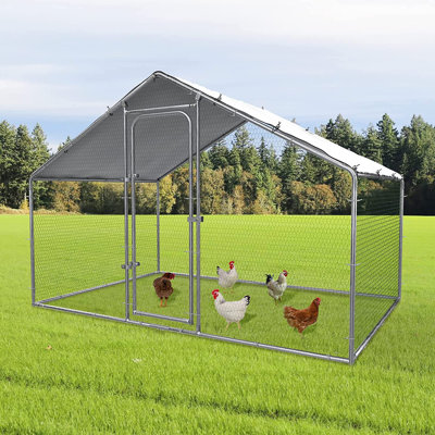 Bromsgrove 64.35 Square Feet Chicken Run
