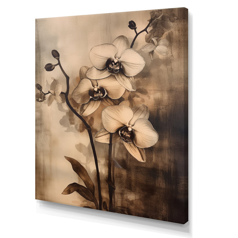 Orchidées exotiques brunes sur toile, H 40 po x l 30 po x P 1,5 po, Toile tendue