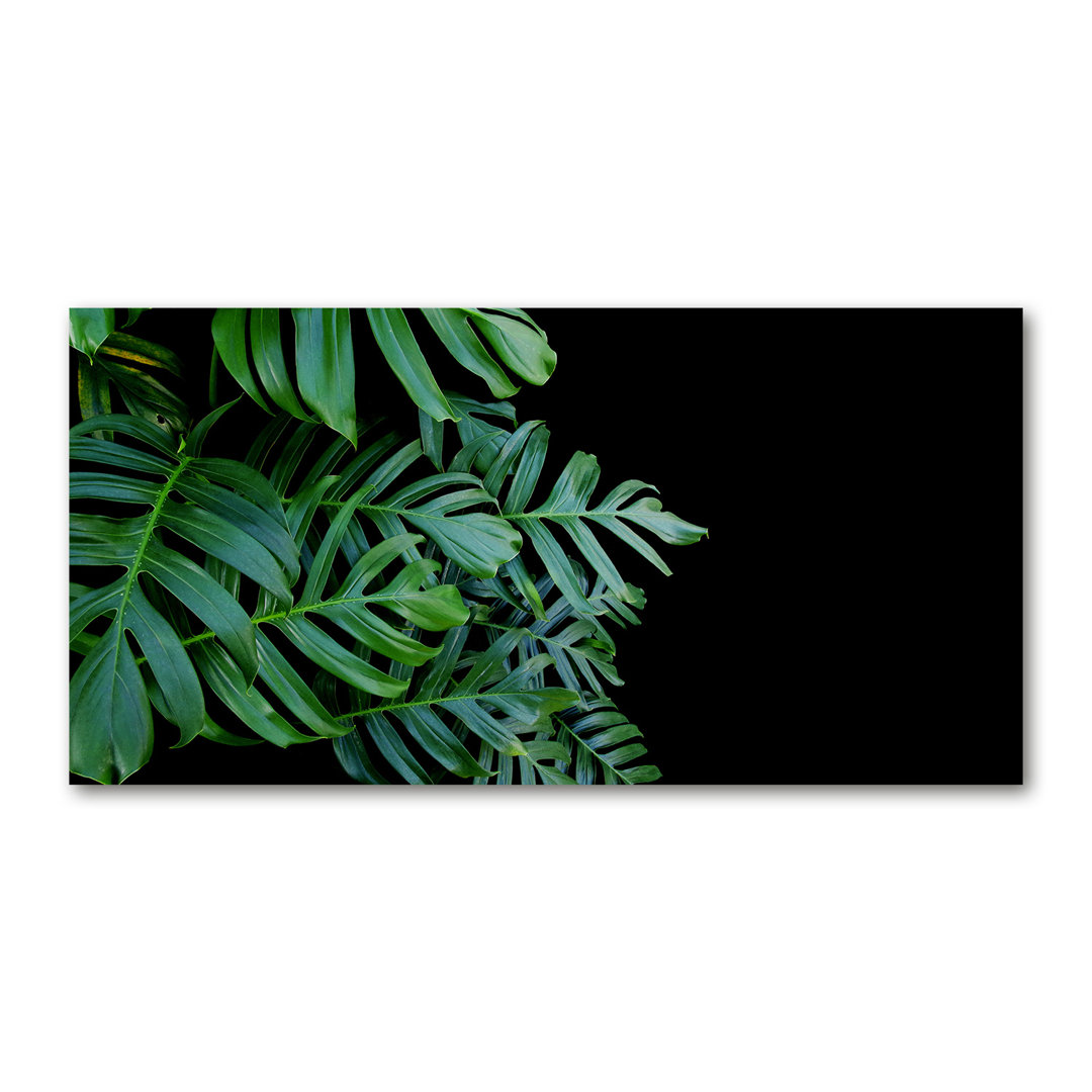 Monstera - Kunstdrucke auf Leinwand - Wrapped Canvas