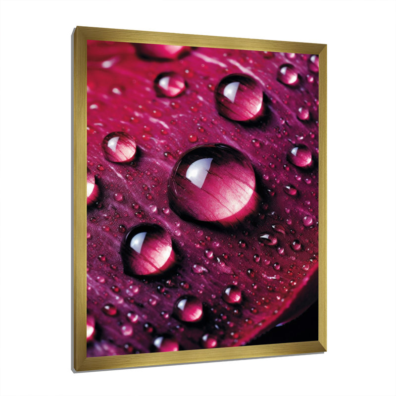 Rose rouge avec des gouttes de pluie, H 40 po x l 30 po x P 1,5 po, Cadre doré à une seule photo