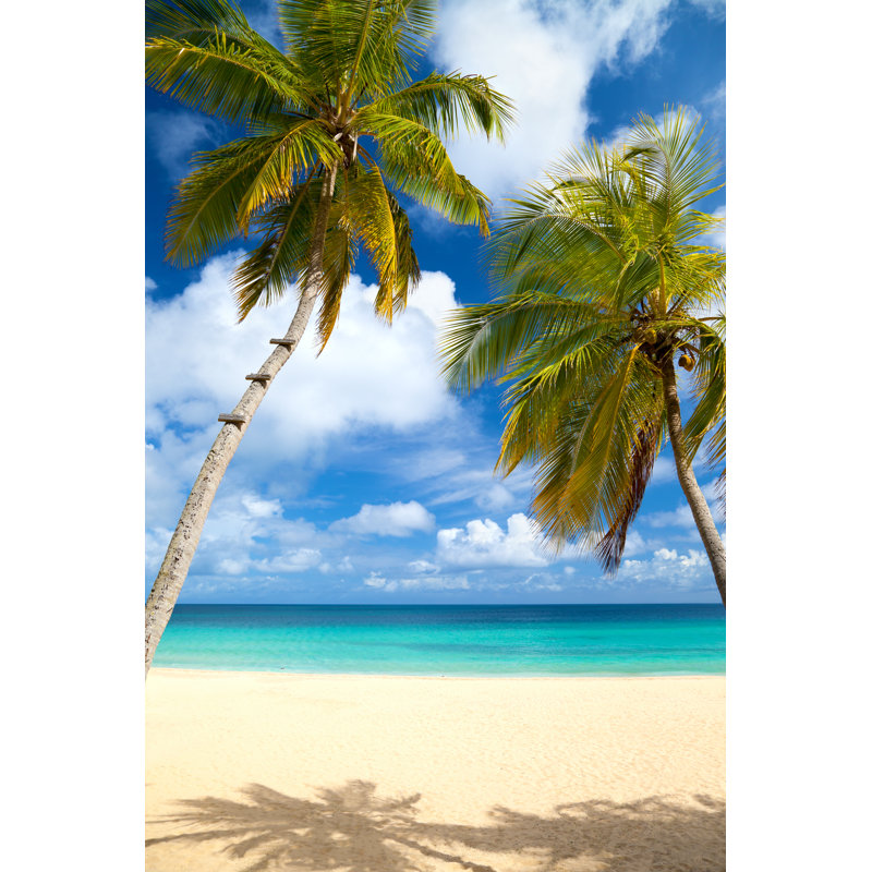 Tropical Beach In Caribbean by Cdwheatley - Wrapped Canvas Print, 76cm H x 51cm W x 3.8cm D