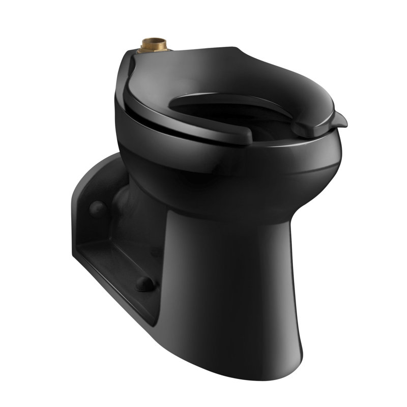 Toilette allongée avec chasse d'eau Anglesey ™ 1,6 GPF (siège non inclus), Noir