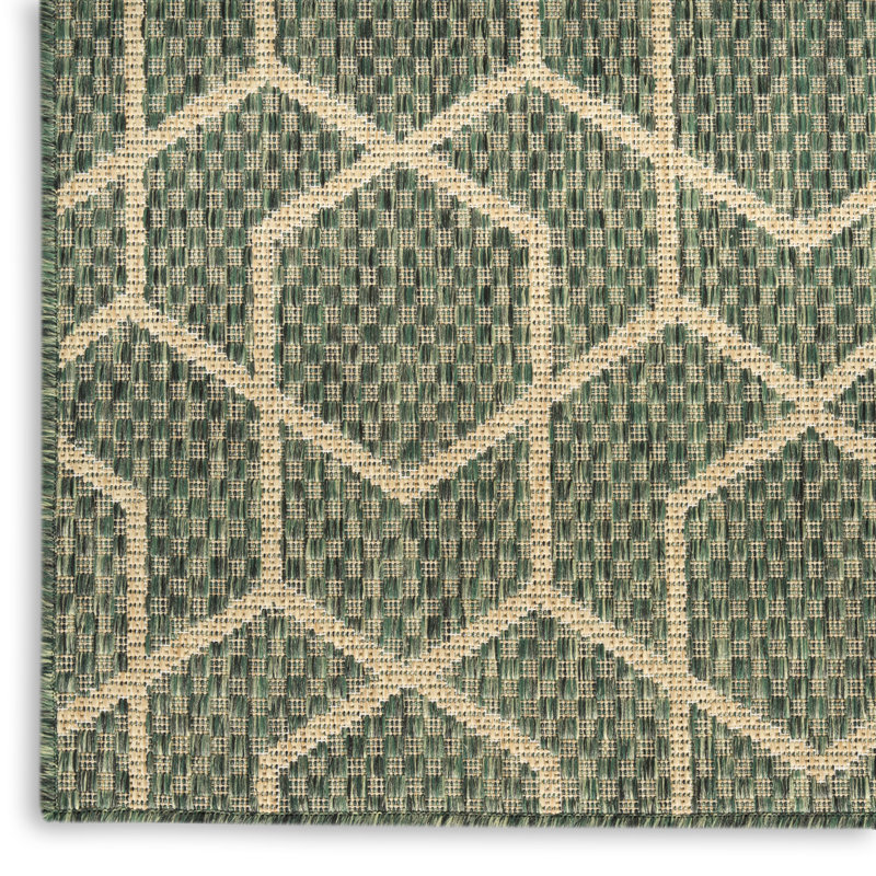 Reidy Modern Indoor/Outdoor Rug, Rectangle 3' x 5', Green