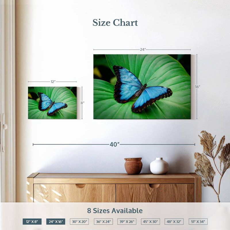 Blue Morpho On Leaf, 16" H x 24" W
