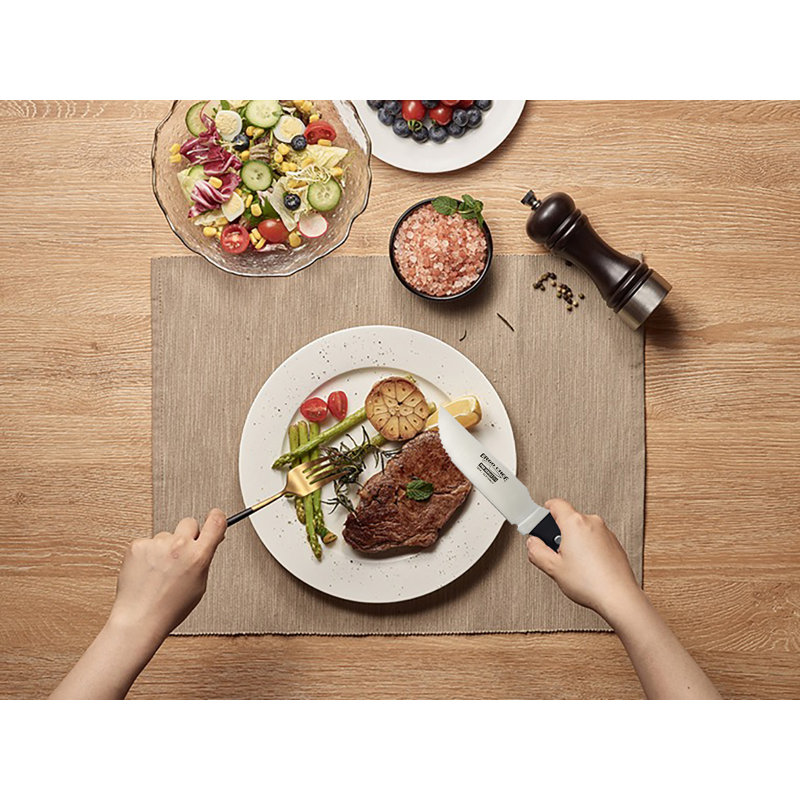 Ergo Chef Ergo Chef 4 Piece High Carbon Stainless Steel Steak Knife Set (Set of 4)