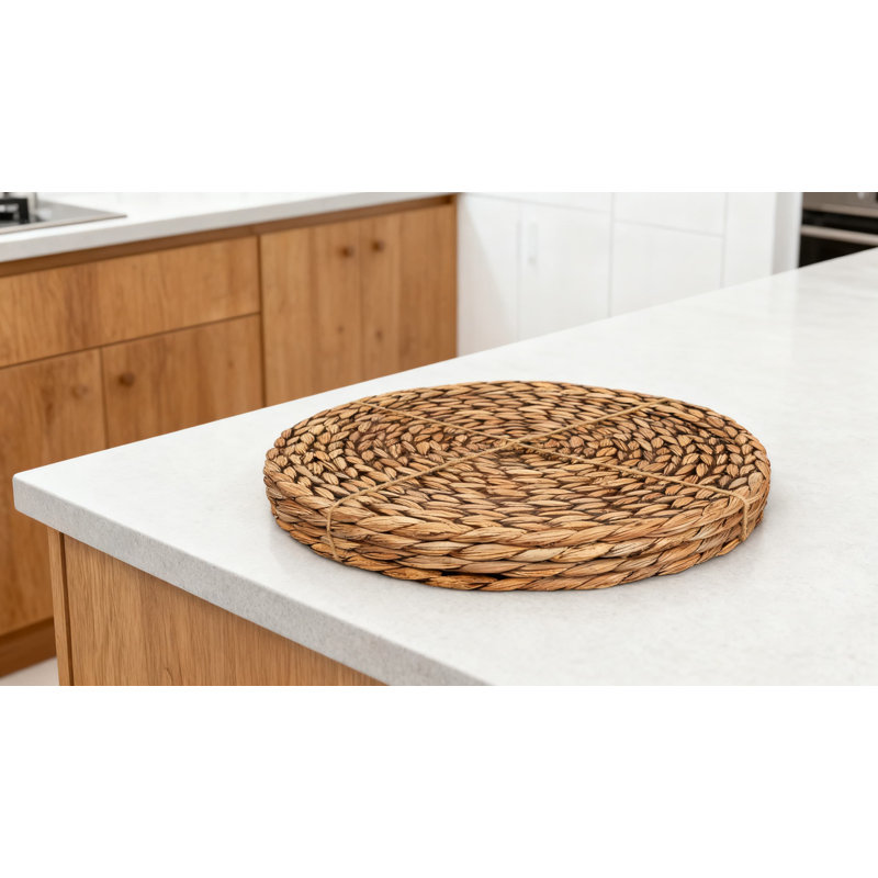 Ensemble de 4 napperons en jacinthe d'eau tissés à la main, résistants à la chaleur et durables, pour la protection et la décoration de la table de salle à manger