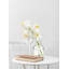 Vase Orchidée