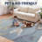 Kingdarr T-Rex Modern Kids Machine-Washable Rug-1152917450-1179495552