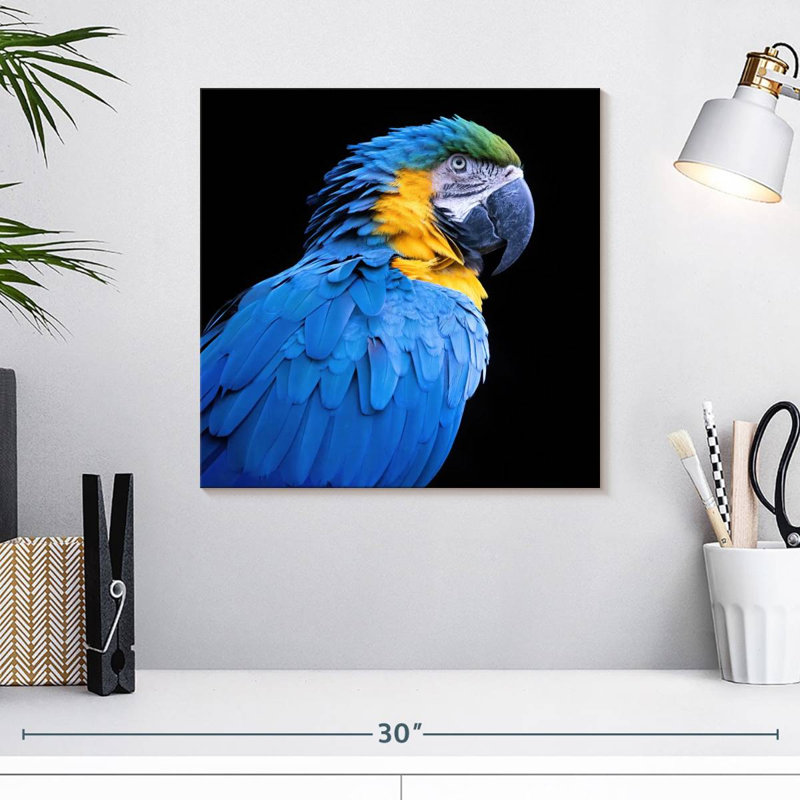 Ara bleu néotropical Brampt, H 16 po x l 16 po