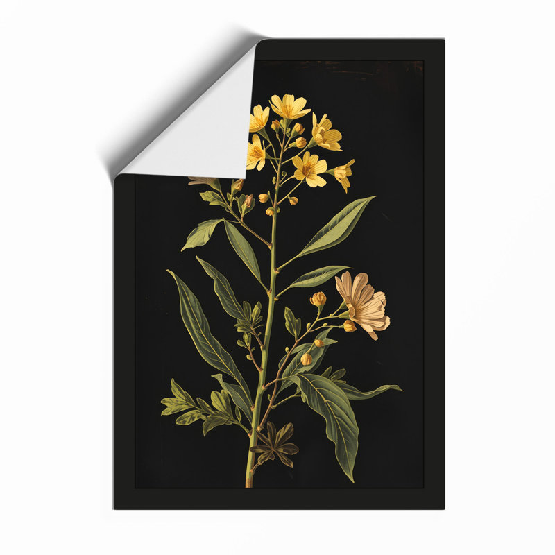 Golden Study Botanical - Print, Unframed, A3 - 42.0 x 29.7 cm