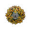 Dome Lamp Shade