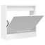 2 Pair Shoe Storage-1767595075