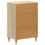 Shoe Storage Cabinet-1349693403