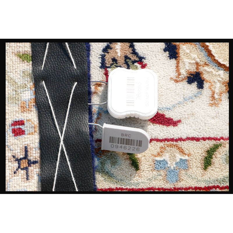 Walton Oriental Area Rug in Dark Blue/Ivory, Rectangle 4' x 6'1"