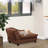 Dog Sofa Bed With Hidden Storage
