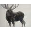 Bull Moose - Reproduction matte encadrée scandinave pour la décoration intérieure