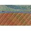 Tapis intérieur / extérieur bleu clair Deweese-1455518243