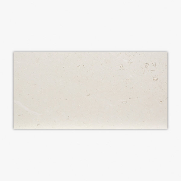 Symra Shell Honed 12x24 Limestone Tile