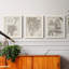 «Sepia Exotic Plants IV», ensemble de 3 peintures sur toile encadrées-595440743-595440739