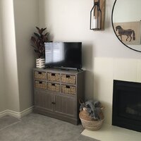 Laurel Foundry Modern Farmhouse Keziah Accent Cabinet & Reviews