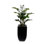 5'H Artifical Z Z Plant With Pebbles in Black Tin Planter