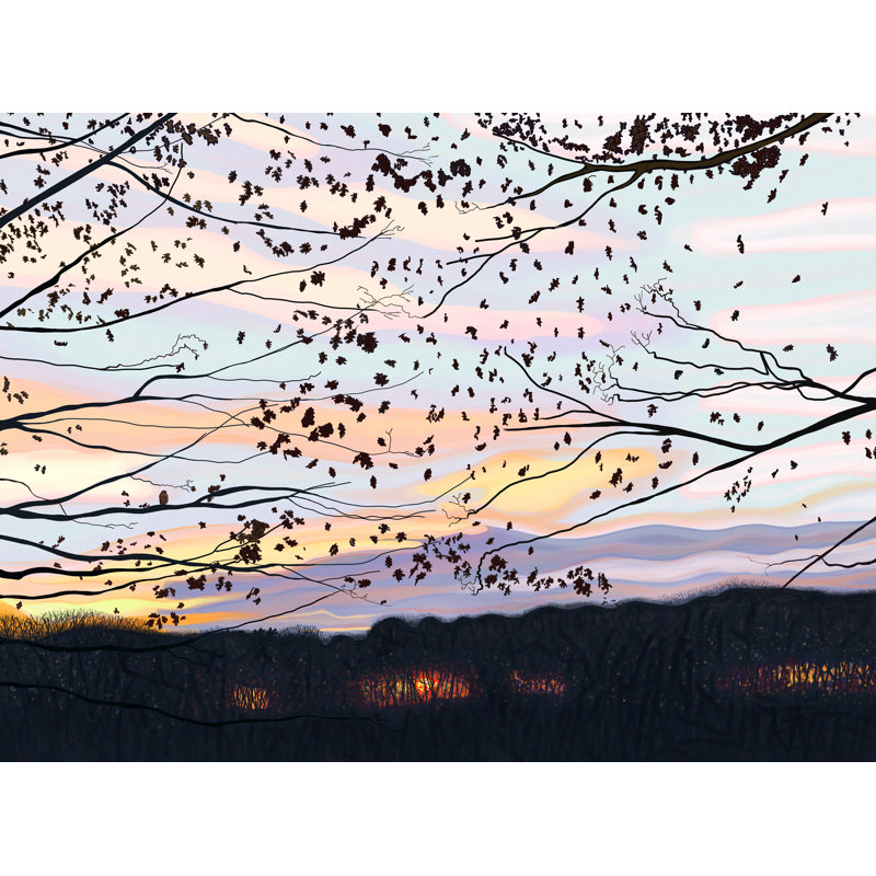 Hawk On Branch, Prospect Park Print by Evan Sklar, 25.25" H x 31.25" W x 0.875" D