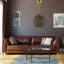 Lustre Shyne-1660028213