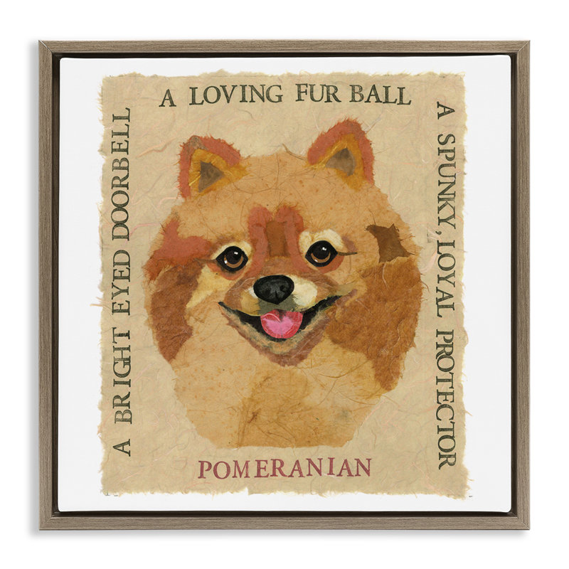 "Fun Pomeranian Pet", art mural encadré flottant par Nancy Overton, Cadre flottant orme Montalcino, H 18 po x l 18 po