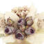 Alvarenga 13 " Polysilk Rose Arrangement