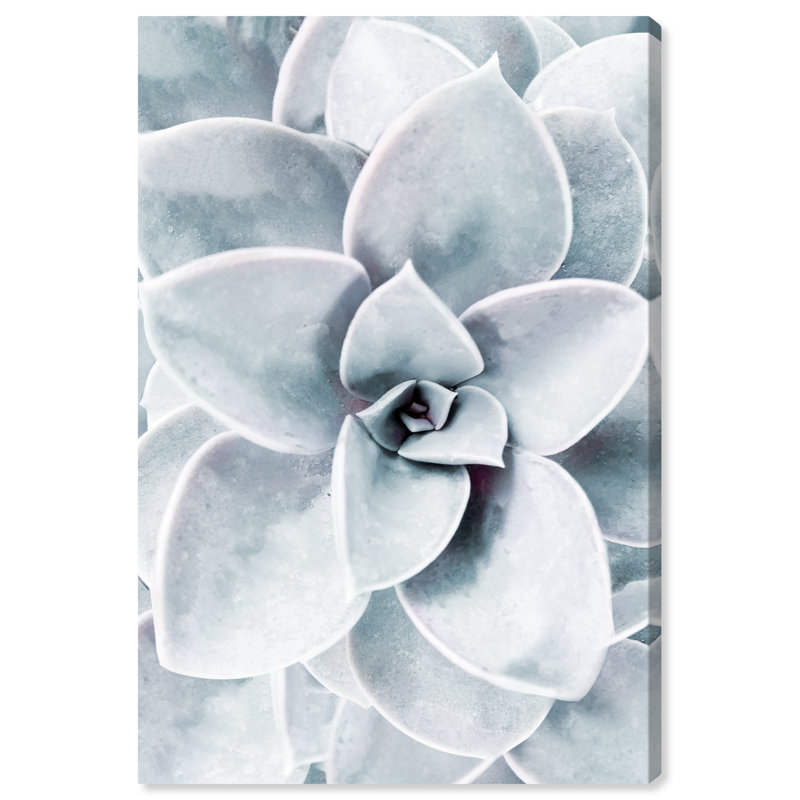 Succulent Zoom Botanicals - impression d'art graphique, Toile tendue, H 54 po x l 36 po x P 1,5 po