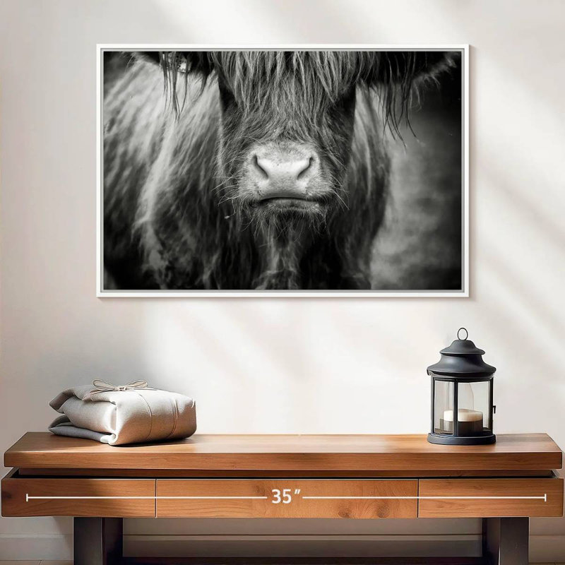 Vache Highland, Cadre flottant blanc, 25 po x 17 po