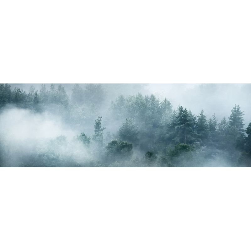 «Misty Pine Forest», art sur toile, H 20 po x l 60 po