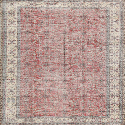 Oriental Indoor Rug