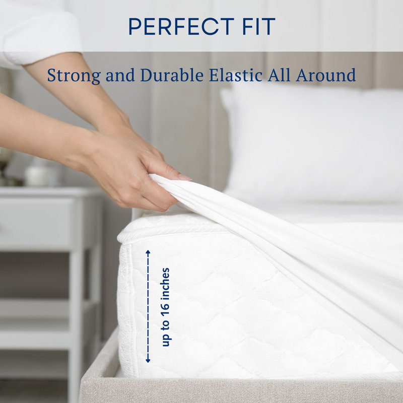 Ensemble de draps 100% flanelle 170 g / m² Pointehaven, Blanc, Lit double