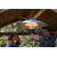 Electric Hanging Patio Heater